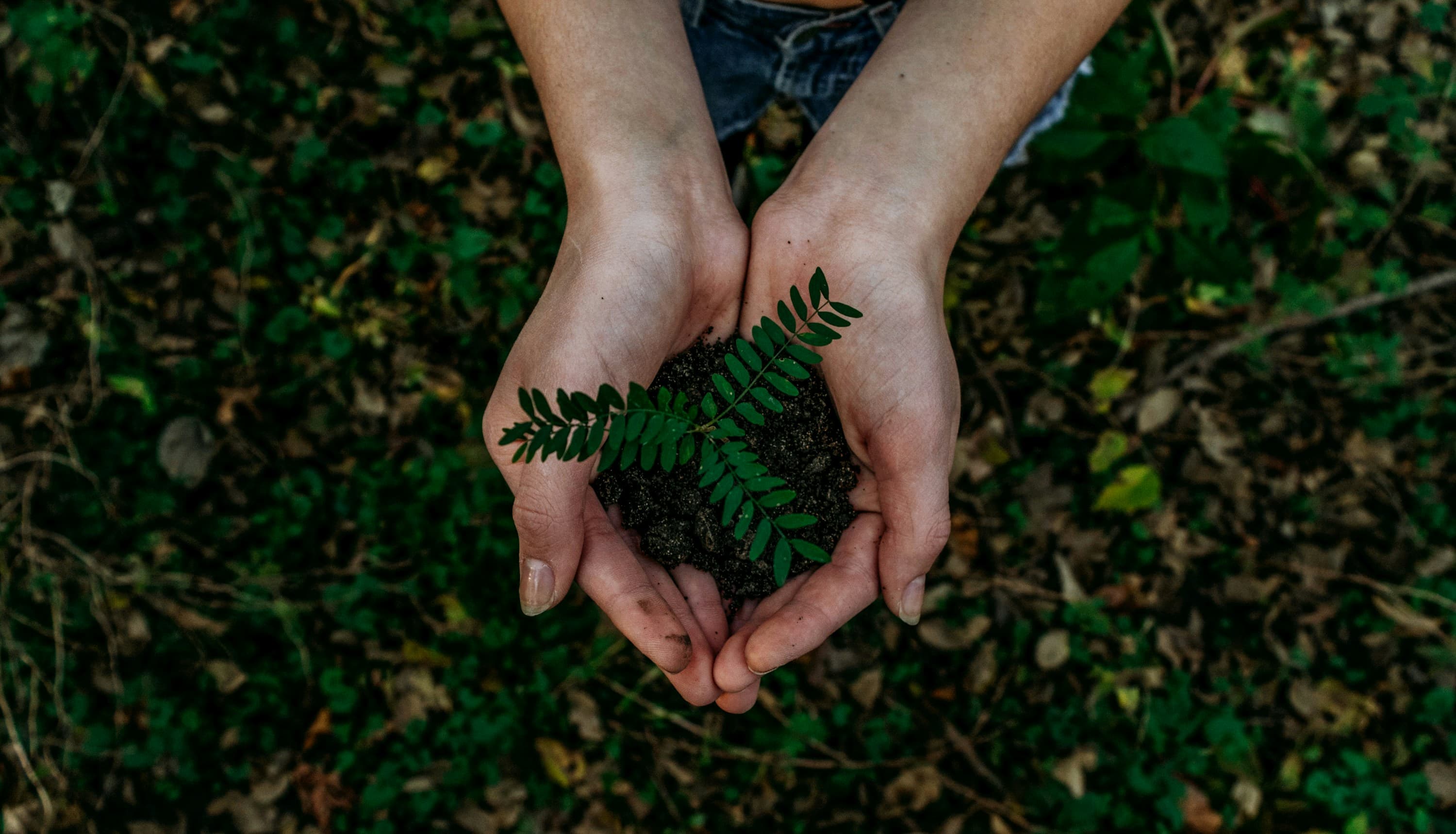 Sustainable living application